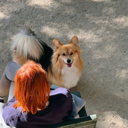 woman and dog on bench